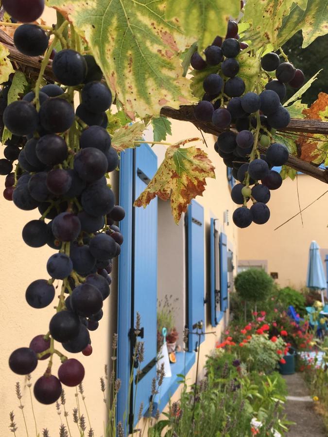 La Mesange Bleue Bed & Breakfast Saint-Barthelemy  Екстериор снимка